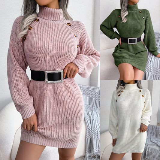 Winter Turtleneck Long Sweater Dress - Merchantsy 